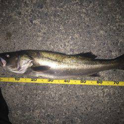 数年ぶりのランカー!